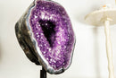 Gallery Grade X-Large Amethyst Geode Cave with Rare Druzy Clusters - E2D Crystals & Minerals