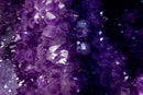 Gallery Grade X-Large Amethyst Geode Cave with Rare Druzy Clusters - E2D Crystals & Minerals