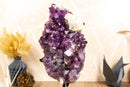 Rare Amethyst Cluster with Galaxy Druzy Sugar Coat, Calcite and Golden Goethite collective
