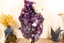 Rare Amethyst Cluster with Galaxy Druzy Sugar Coat, Calcite and Golden Goethite collective
