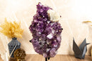 Rare Amethyst Cluster with Galaxy Druzy Sugar Coat, Calcite and Golden Goethite collective
