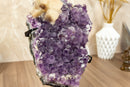 Rare Galaxy Amethyst Druzy Cluster with Calcite collective