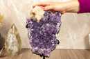 Rare Galaxy Amethyst Druzy Cluster with Calcite collective