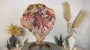 Große natürliche rosa Amethyst-Geode in AAA-Qualität in Galeriequalität