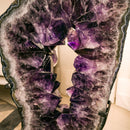 X Large Amethyst Geode Ring Slice on Rotating Display, Aaa Grade collective