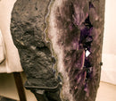 X Large Amethyst Geode Ring Slice on Rotating Display, Aaa Grade collective