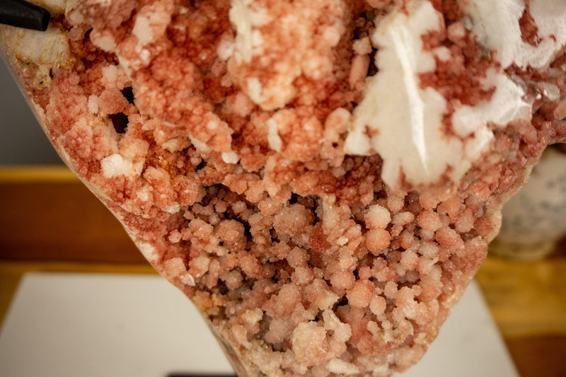 Pink Amethyst Geode with Stalactite Flowers of Aaa Quality collective