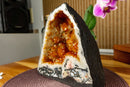 Citrine Crystal Geode with Stalactite Flowers and Moss Agate Inclusions collective