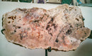 Pink Amethyst Geode Slab with Pink and Red Amethyst Druzy, X-Large collective
