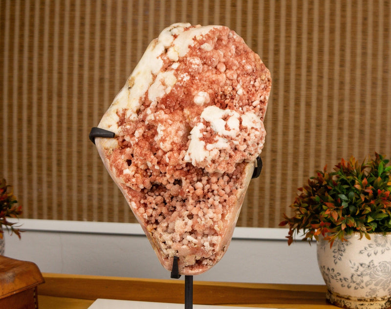 Pink Amethyst Geode with Stalactite Flowers of Aaa Quality collective