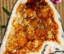 Citrine Crystal Geode with Stalactite Flowers and Moss Agate Inclusions collective