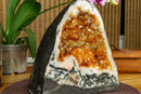 Citrine Crystal Geode with Stalactite Flowers and Moss Agate Inclusions collective