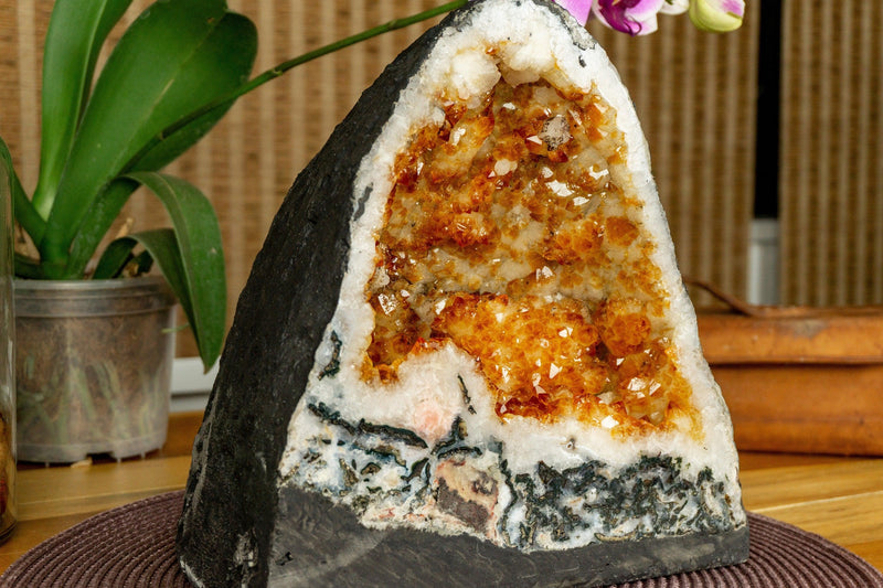 Citrine Crystal Geode with Stalactite Flowers and Moss Agate Inclusions collective