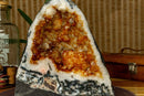 Citrine Crystal Geode with Stalactite Flowers and Moss Agate Inclusions collective