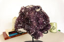 Amethyst Flower Cluster with Crystal Calcite, Large, High Quality collective