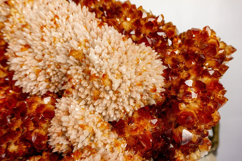 Citrine Crystal with Flower Rosette and Calcite. Deep Orange, Aaa World Class Quality collective