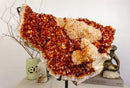 Citrine Crystal with Flower Rosette and Calcite. Deep Orange, Aaa World Class Quality collective