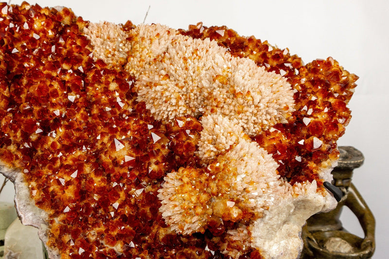 Citrine Crystal with Flower Rosette and Calcite. Deep Orange, Aaa World Class Quality collective