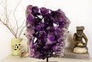 Amethyst Cluster with Extra Large and Deep Purple Amethyst Points, Aaa Quality collective