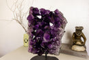 Amethyst Cluster with Extra Large and Deep Purple Amethyst Points, Aaa Quality collective