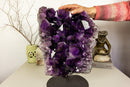 Amethyst Cluster with Extra Large and Deep Purple Amethyst Points, Aaa Quality collective