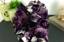 Amethyst Cluster with Extra Large and Deep Purple Amethyst Points, Aaa Quality collective