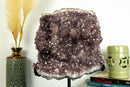 Amethyst Cluster with Flowers (Stalactites) and Golden Goethite collective