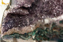 Rare Amethyst Cathedral Geode with Flower Stalactites and Double Terminated Points collective