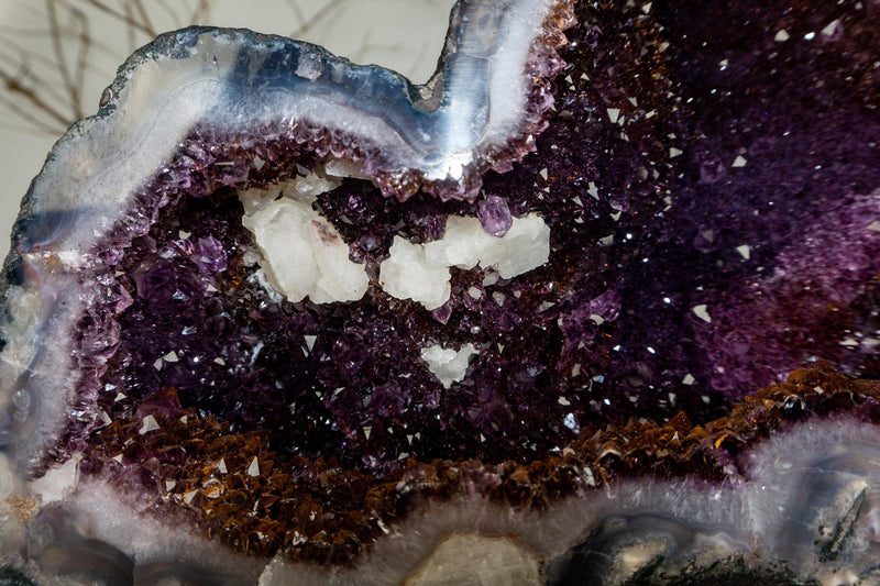 Golden Goethite Cacoxenite Amethyst Cathedral Geode, Collection Grade collective