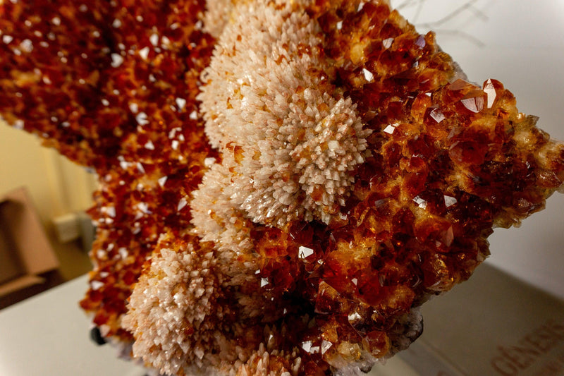 Citrine Crystal with Flower Rosette and Calcite. Deep Orange, Aaa World Class Quality collective