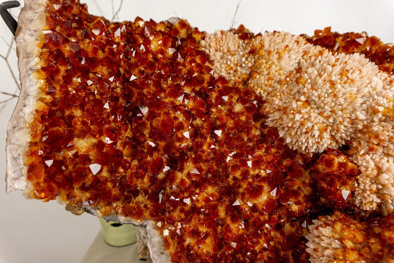 Citrine Crystal with Flower Rosette and Calcite. Deep Orange, Aaa World Class Quality collective