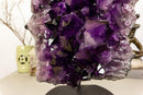 Amethyst Cluster with Extra Large and Deep Purple Amethyst Points, Aaa Quality collective