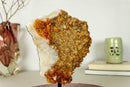 Deep Orange Citrine Cluster with Galaxy Druzy on Metal Stand collective