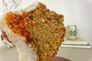 Deep Orange Citrine Cluster with Galaxy Druzy on Metal Stand collective