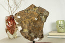 Deep Orange Citrine Cluster with Galaxy Druzy on Metal Stand collective