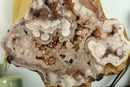 Pink and Red Amethyst Geode with Stalactite Flowers of High Aaa Quality collective