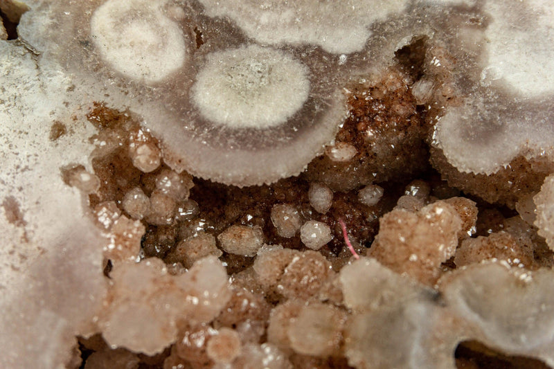 Pink and Red Amethyst Geode with Stalactite Flowers of High Aaa Quality collective