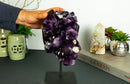 Amethyst Cluster with Extra Large and Deep Purple Amethyst Points, Aaa Quality collective