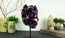 Amethyst Cluster with Extra Large and Deep Purple Amethyst Points, Aaa Quality collective