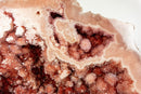 Pink and Red Amethyst Geode with Stalactite Flowers of World Class Aaa Quality collective