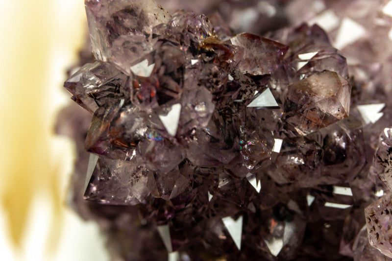 Amethyst Cluster with Flowers (Stalactites) and Golden Goethite collective