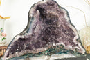 Rare Amethyst Cathedral Geode with Flower Stalactites and Double Terminated Points collective