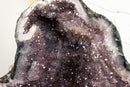 Rare Amethyst Cathedral Geode with Flower Stalactites and Double Terminated Points collective