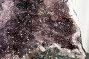 Rare Amethyst Cathedral Geode with Flower Stalactites and Double Terminated Points collective