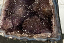 Amethyst Cathedral  Geode with Golden Goethite (Cacoxenite) Galaxy Druzy collective