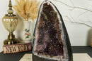 Amethyst Cathedral  Geode with Golden Goethite (Cacoxenite) Galaxy Druzy collective