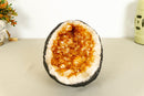 Small Citrine Crystal Geode with Stalactite Flowers, Deep Orange Citrine collective