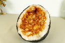 Small Citrine Crystal Geode with Stalactite Flowers, Deep Orange Citrine collective