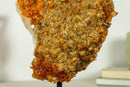 Deep Orange Citrine Cluster with Galaxy Druzy on Metal Stand collective