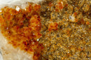 Deep Orange Citrine Cluster with Galaxy Druzy on Metal Stand collective